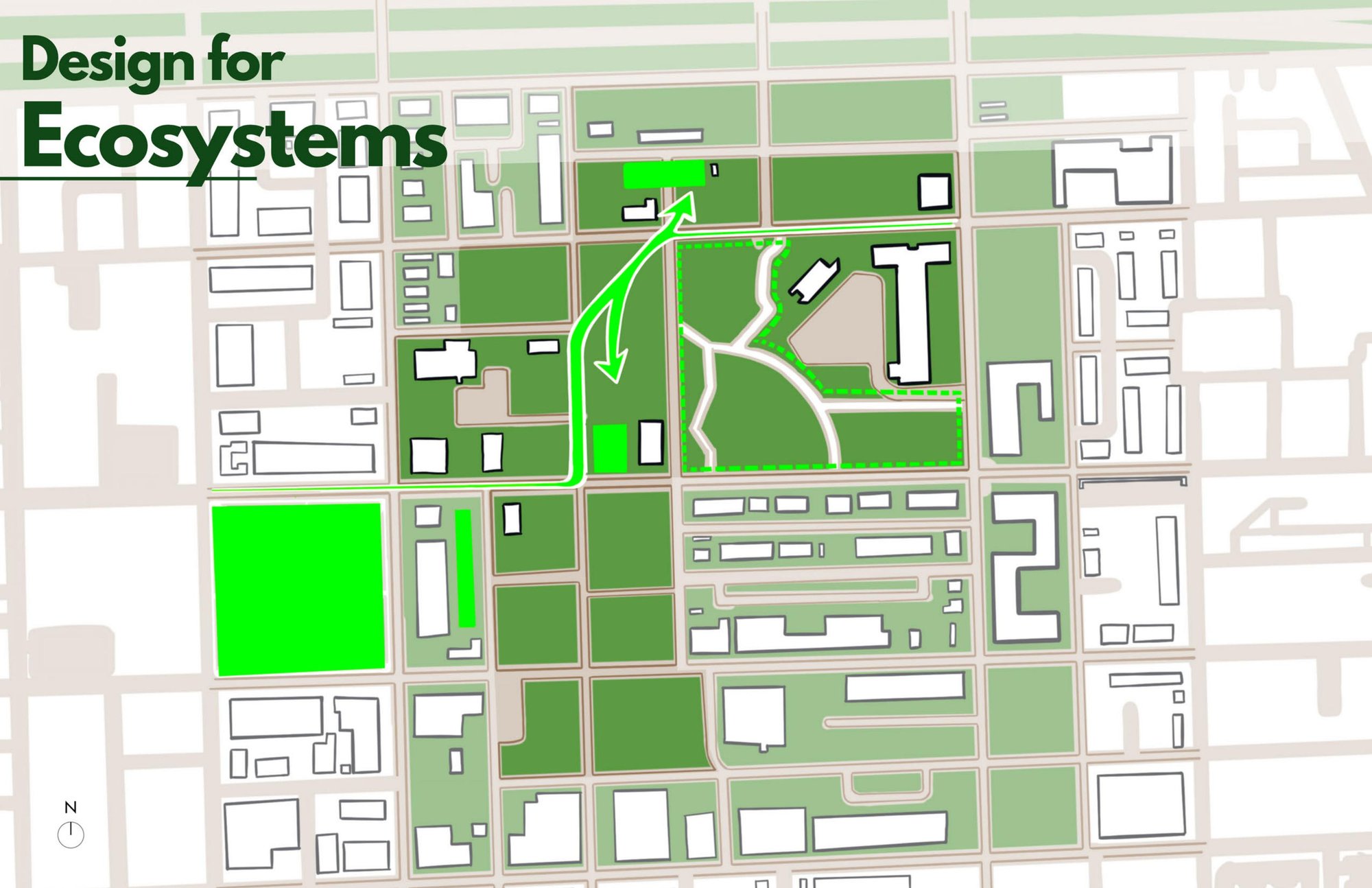 Design for Ecosystems, green infrastructure diagram